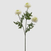 Dalia Branca - 64cm